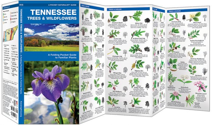 Tennessee Trees & Wildflowers (Pocket Naturalist® Guide)