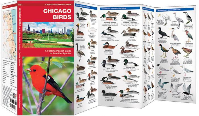 Chicago Birds (Pocket Naturalist® Guide).