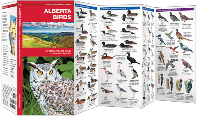 Alberta Birds