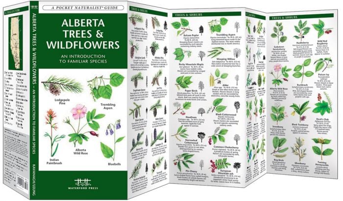 Alberta Trees & Wildflowers (Pocket NaturalistÃƒâ€šÃ‚Â® Guide).