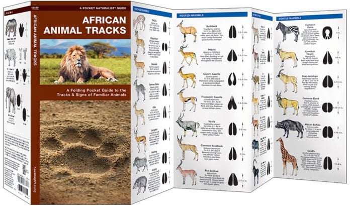 African Animal Tracks (Pocket NaturalistÃƒâ€šÃ‚Â® Guide).