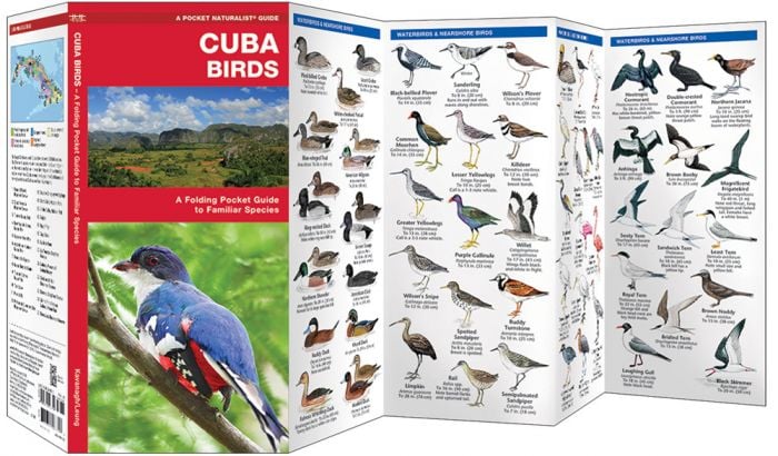 Cuba Birds (Pocket NaturalistÃƒâ€šÃ‚Â® Guide).