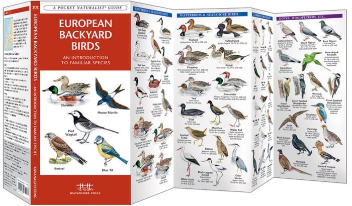 European Backyard Birds (Pocket NaturalistÃƒâ€šÃ‚Â® Guide).