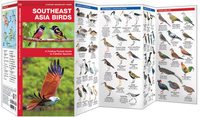 Southeast Asia Birds (Pocket NaturalistÃƒâ€šÃ‚Â® Guide).
