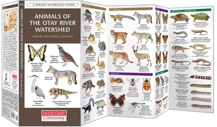 Animals Of The Otay River Watershed (Pocket Naturalist® Guide).