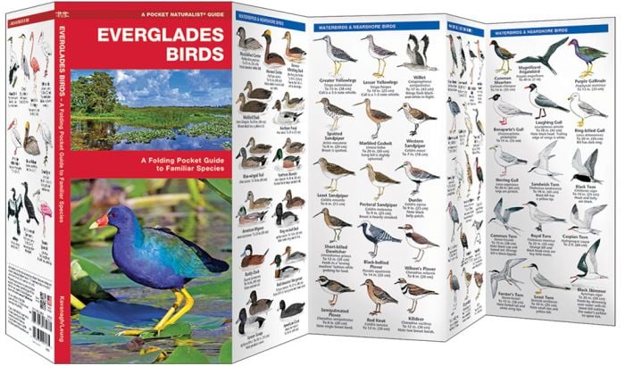 Everglades Birds (Pocket NaturalistÃƒâ€šÃ‚Â® Guide). 