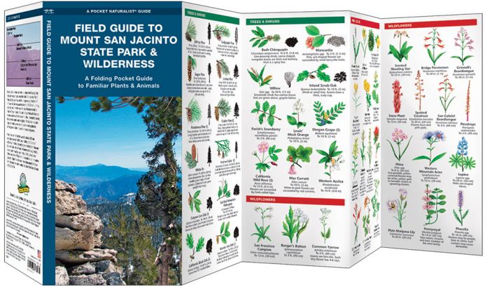 Field Guide To Mount San Jacinto State Park & Wilderness