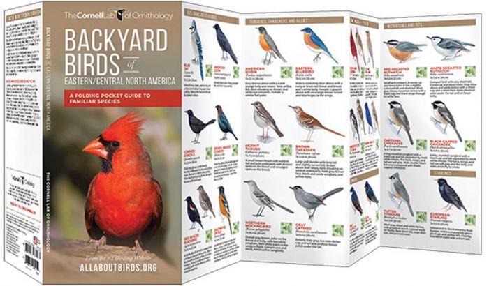 Backyard Birds: Eastern & Central North America (All About Birds Pocket Guide®)