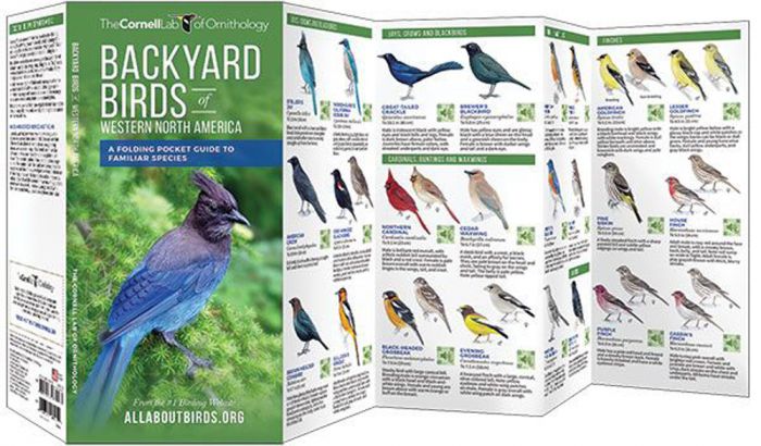 Backyard Birds: Western North America (All About Birds Pocket Guide®)