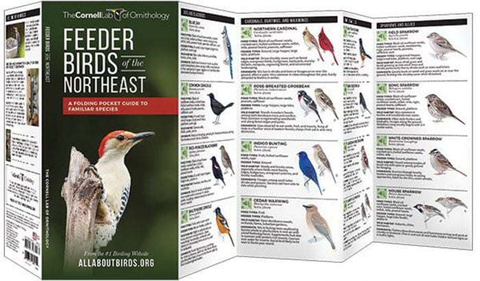 Feeder Birds of the Northeast (All About Birds Pocket Guide®)
