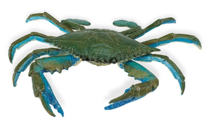 Crab (Blue) Model