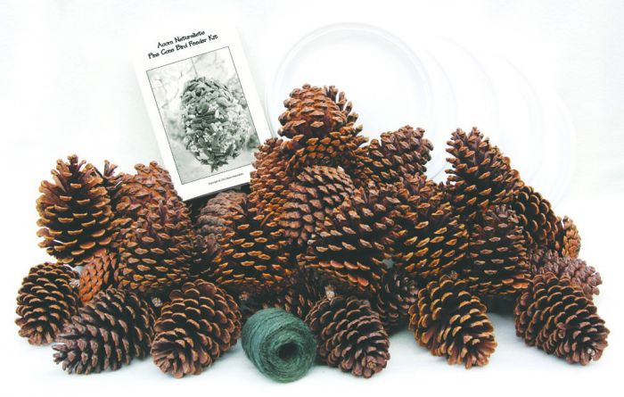 Pine Cone Bird Feeder Kit