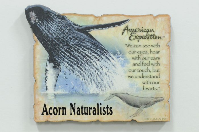 Humpback Whale Magnet