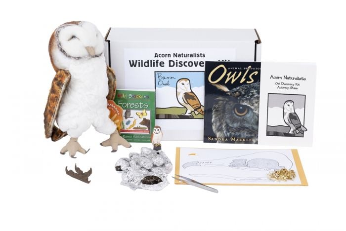 Wildlife Discovery® Kit: Owl