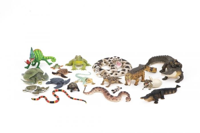 Reptiles & Amphibians Model Collection (Discounted Set of 18 Models)