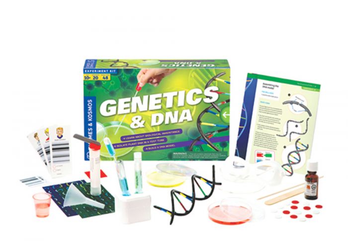 Genetics And Dna Activity Kit