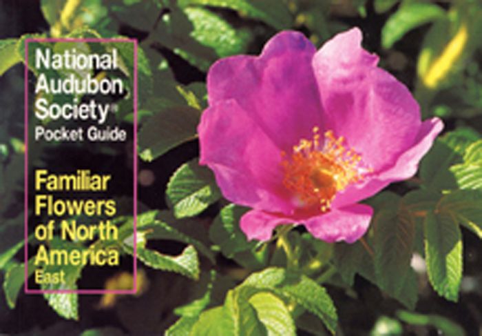Eastern Flowers (Audubon Society Pocket Guides)
