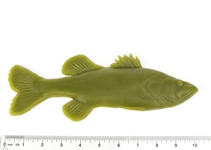 Bass (Largemouth) Fish Printing Replica (11")