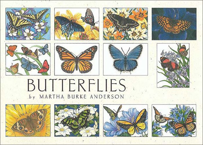 Butterflies (Boxed Notes).