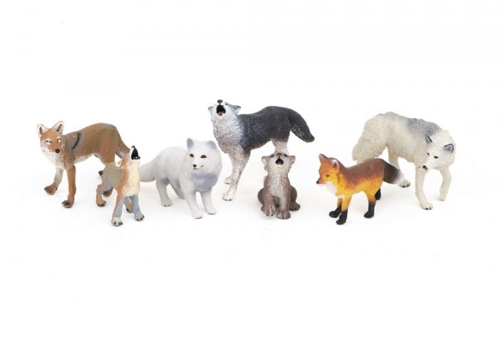 Canines (Dog Family) Model Collection (Discounted Set of 7 Models)