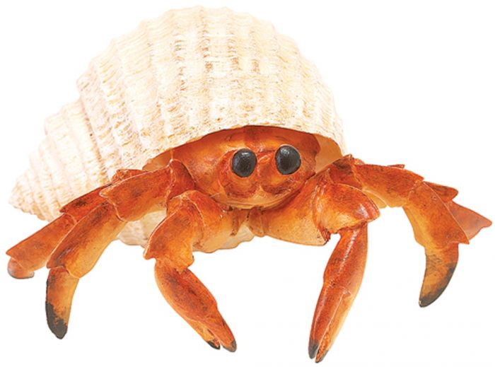 Crab (Hermit) Model