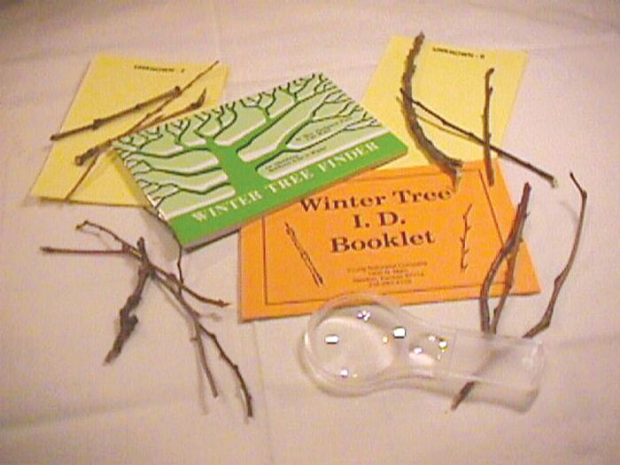 Winter Tree Identification Kit