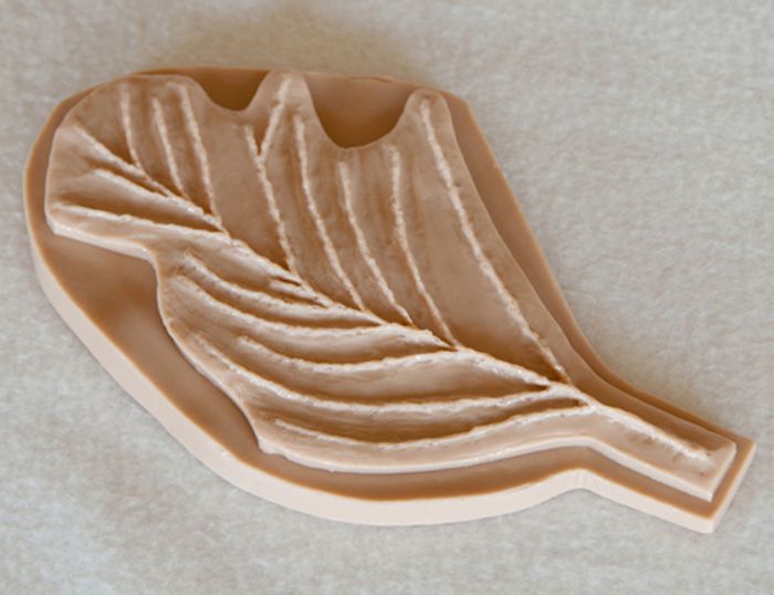 Sequoia (Giant) Leaf Replica