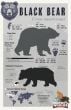 Black Bear Facts Poster (Carnivore Facts Series)