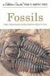Fossils (Golden Guide)