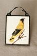 Painted Metal Oriole Wall Plaque