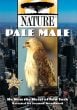 Pale Male (Dvd)