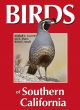 Birds Of Southern California