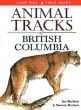 Animal Tracks: British Columbia (Lone Pine Tracking Guide)