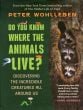 Do You Know Where the Animals Live? Discovering the Incredible Creatures All Around Us