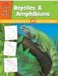 Learn To Draw: Reptiles & Amphibians