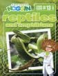Reptiles & Amphibians Game (Professor Noggin's®)
