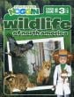 Wildlife of North America Game (Professor Noggin's®)