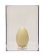 Goose (Canada) Egg Replica