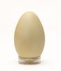 Goose (Canada) Egg Replica