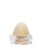 Goldfinch (American) Egg Replica