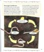 Life Cycle of an Earthworm
