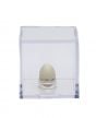 Finch (House) Egg Replica