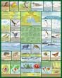Animals at Risk from Climate Change Poster