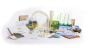 Science Action Club - Bug Safari Kit, Bilingual English-Spanish Edition