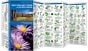 New England Trees & Wildflowers (Pocket Naturalist® Guide).