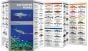 Saltwater Fishes (Pocket Naturalist® Guide).