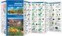 Arizona Trees & Wildflowers (Pocket Naturalist® Guide).