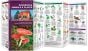 Dangerous Animals And Plants (Pocket Naturalist® Guide).