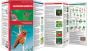 Hummingbirds (Pocket Naturalist® Guide).
