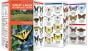 Great Lakes Butterflies & Moths (Pocket Naturalist® Guide)